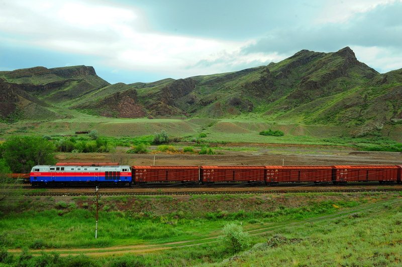 Казахстан в 5 раз увеличил поставки кормов в Китай