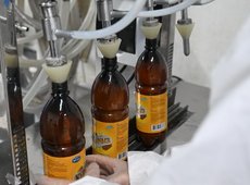 Производство медового кумыса начали в Жетысу