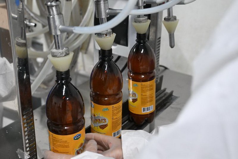 Производство медового кумыса начали в Жетысу