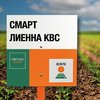 Свекла сахарная сорт СМАРТ ЛИЕННА КВС