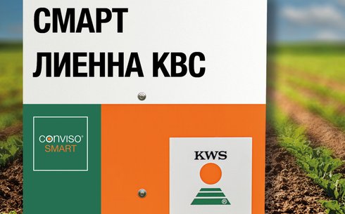 Свекла сахарная сорт СМАРТ ЛИЕННА КВС