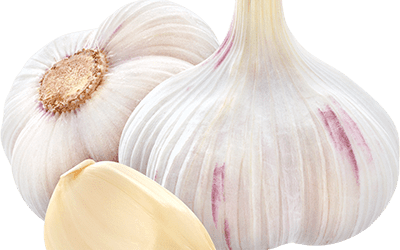 Чеснок сорт Мерей