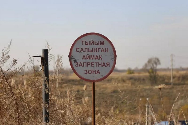 Почти 50 захоронений скота с нарушениями выявили в Алматинской области