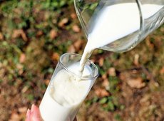 Молочная продукция в Казахстане подорожала на 29% за год