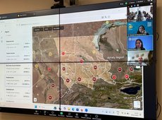 Интеллектуальную систему мониторинга саранчи запускают в Казахстане