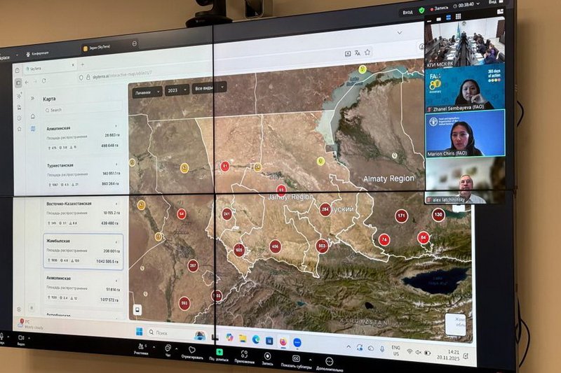 Интеллектуальную систему мониторинга саранчи запускают в Казахстане