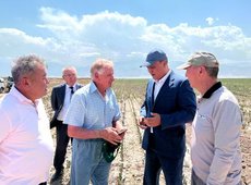 ЧС объявят в Жамбылской области из-за гибели урожая