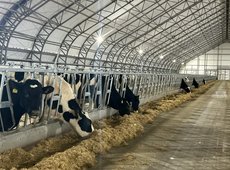 МТФ на 10 тыс. голов запустят в Северном Казахстане