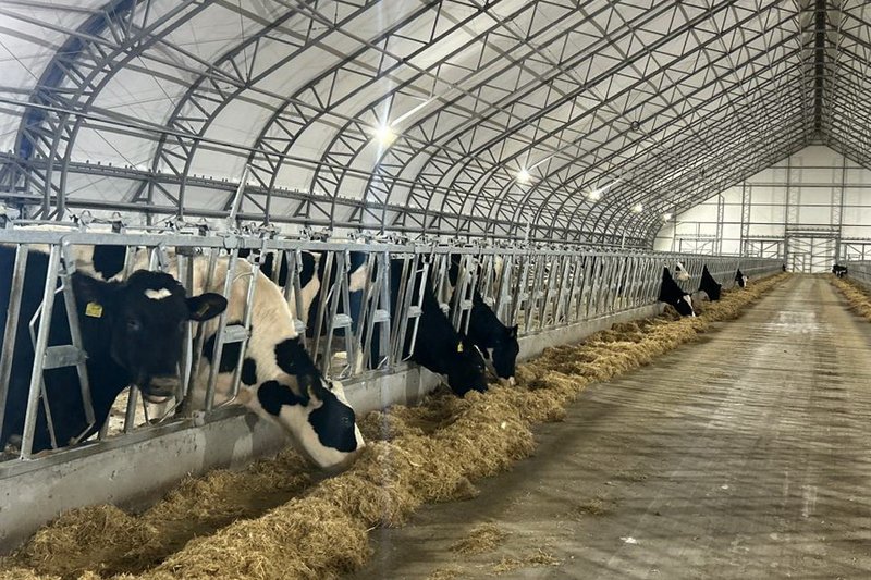 МТФ на 10 тыс. голов запустят в Северном Казахстане