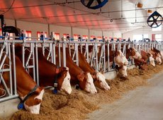 Полностью автоматизированная МТФ введена в Восточном Казахстане