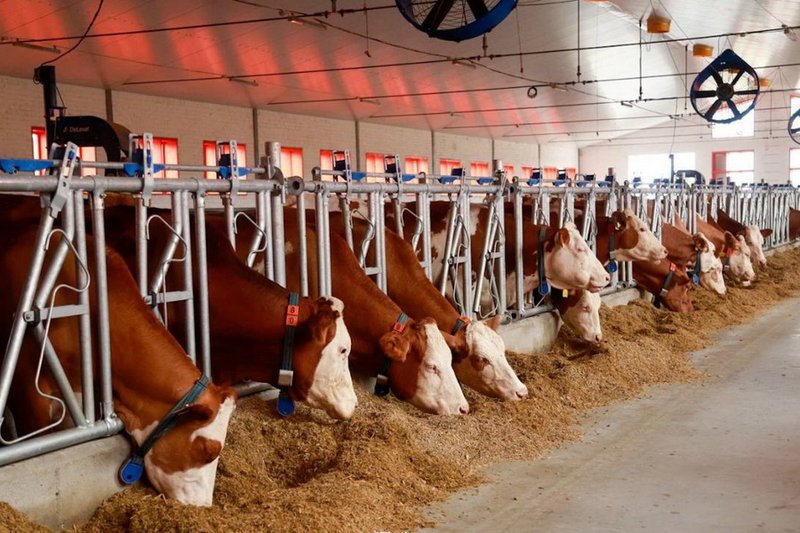 Полностью автоматизированная МТФ введена в Восточном Казахстане