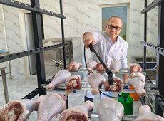 Новую технологию хранения охлажденного мяса птицы разработали в Казахстане