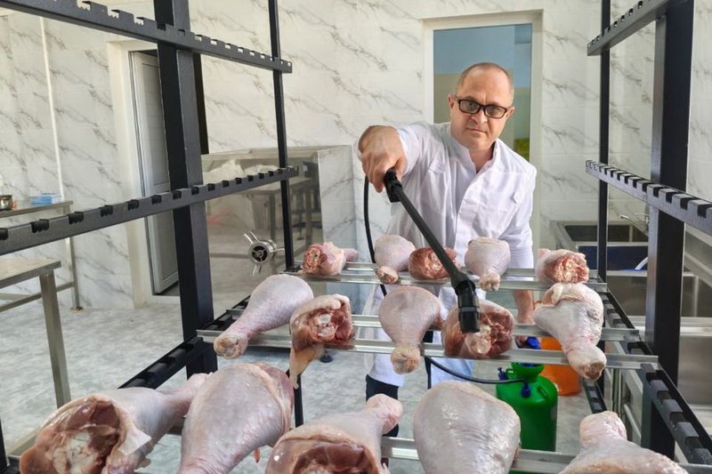 Новую технологию хранения охлажденного мяса птицы разработали в Казахстане