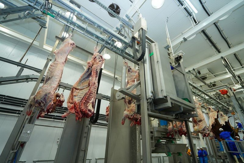 50 млрд тенге инвестируют в мясной кластер Туркестанской области