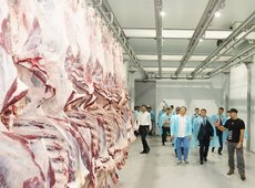 Казахстан планирует расширить географию экспорта мяса