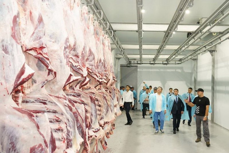 Казахстан планирует расширить географию экспорта мяса