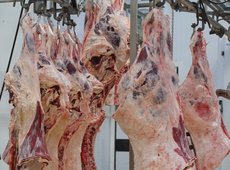 Квоты на экспорт говядины ввели до конца года в Казахстане