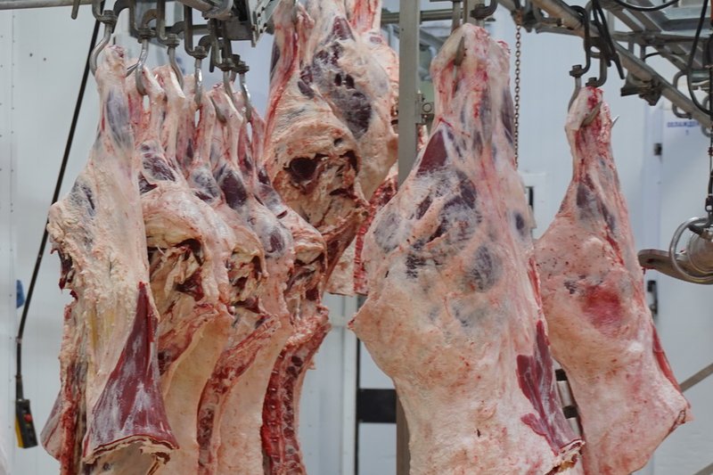 Квоты на экспорт говядины ввели до конца года в Казахстане