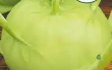 Капуста белокочанная сорт Неженка