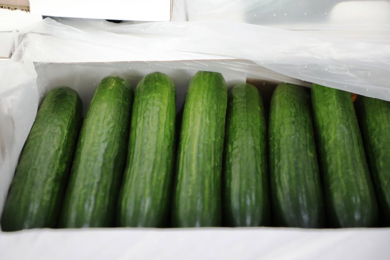 Платную фитосанитарную экспертизу ввели в Казахстане