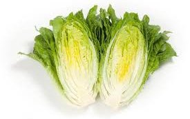 Салат сорт Октавиус