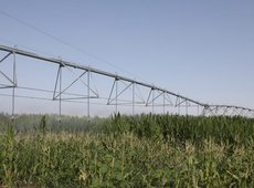 В Жамбылской области объявили ЧС из-за засухи