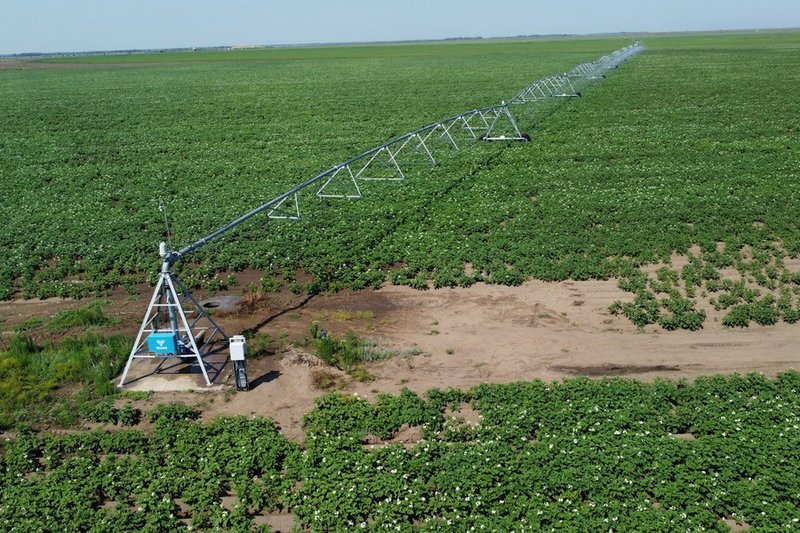 Прогноз засухи на июль уточнили в Казахстане