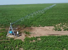 Жамбыл облысының фермерлері суды үнемдейтін технологияларға несие алады