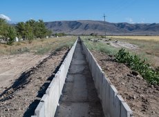 Картофелеводство возрождают в области Жетысу