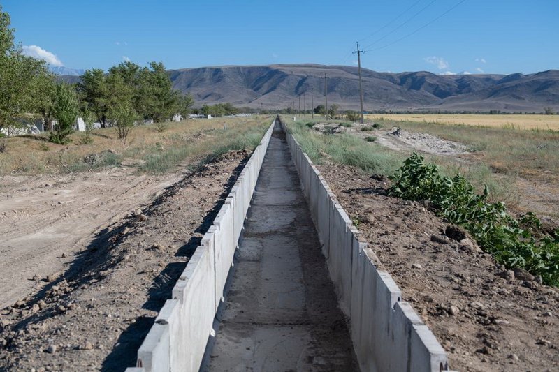Картофелеводство возрождают в области Жетысу