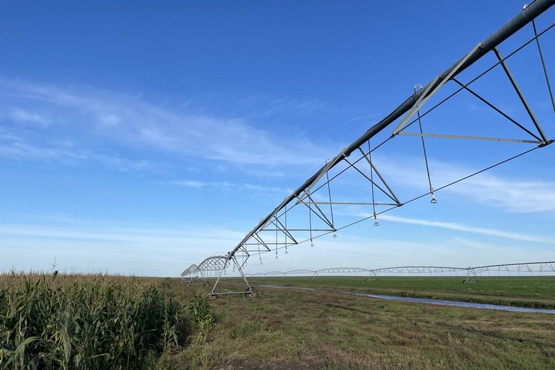 В Казахстане утвердили правила пользования поливной водой
