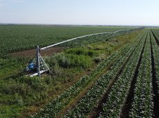 На субсидирование водосбережения в АПК направят 214,6 млрд тенге за три года