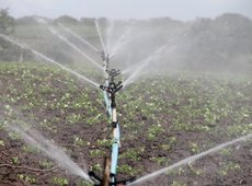 Производство систем капельного орошения запустят в Жамбылской области