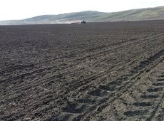 Умеренную засуху прогнозируют в Казахстане в мае