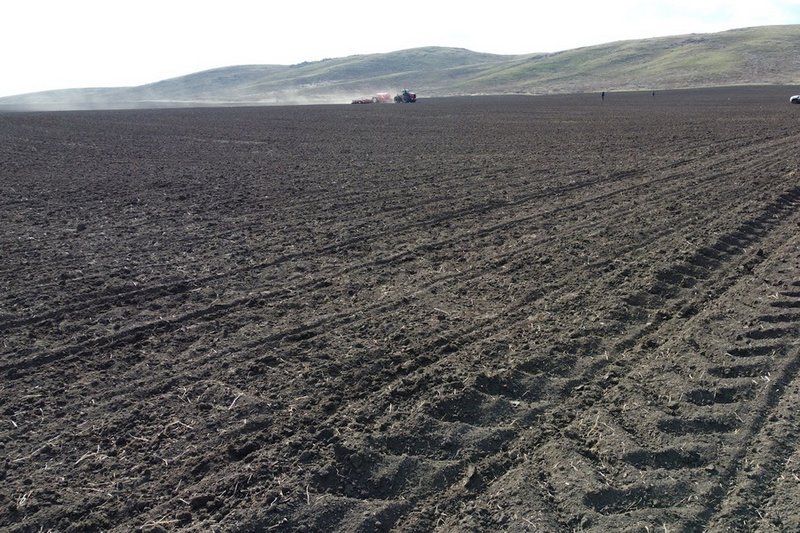 Умеренную засуху прогнозируют в Казахстане в мае