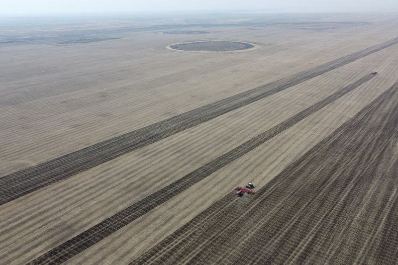 В Казахстане распространяют слухи о предоставлении сельхозземель Китаю