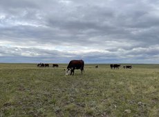 Новые задачи поставило правительство перед Минсельхозом