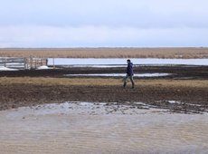 Қостанай облысында су тасқынынан 100 фермер зардап шекті