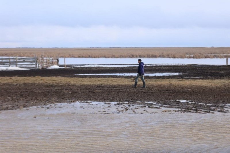 Қостанай облысында су тасқынынан 100 фермер зардап шекті