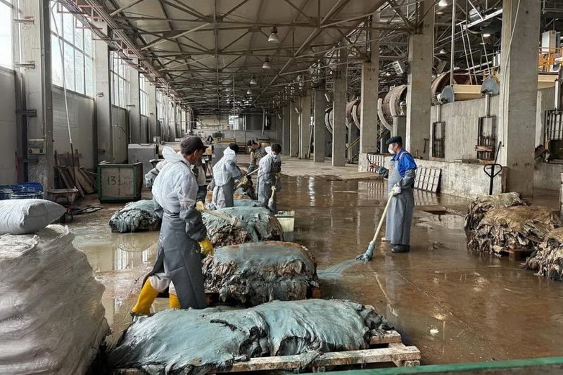 Переработку шкур запустили в Западном Казахстане