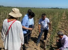 Қазақстанда тәлімбақтарға мемлекеттік қолдауды күшейту сұралады