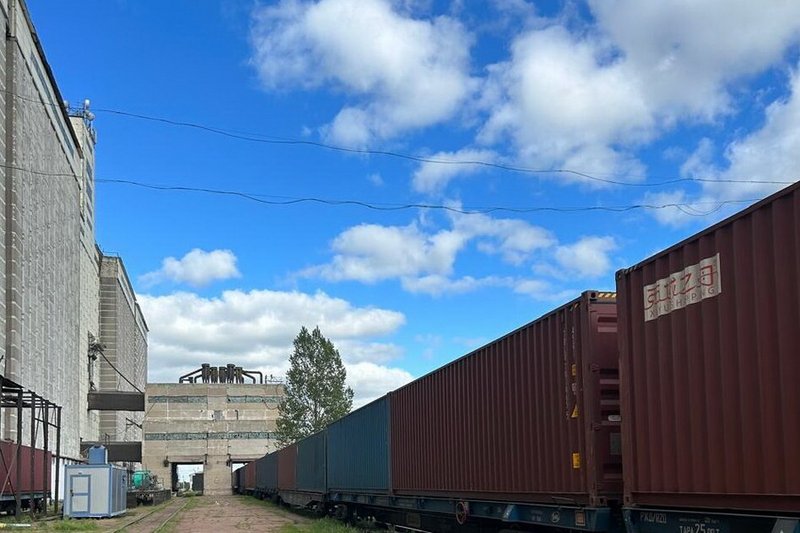 Казахстан начал экспорт пшеницы во Вьетнам