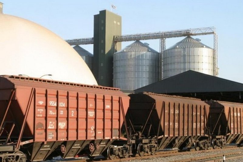 Субсидировать экспорт пшеницы начнут с января в Казахстане