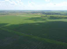 Сельхозземлю пытались разделить под строительство в Алматинской области