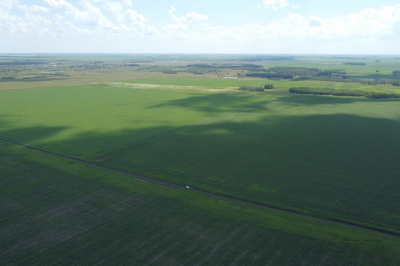 Сельхозземлю пытались разделить под строительство в Алматинской области