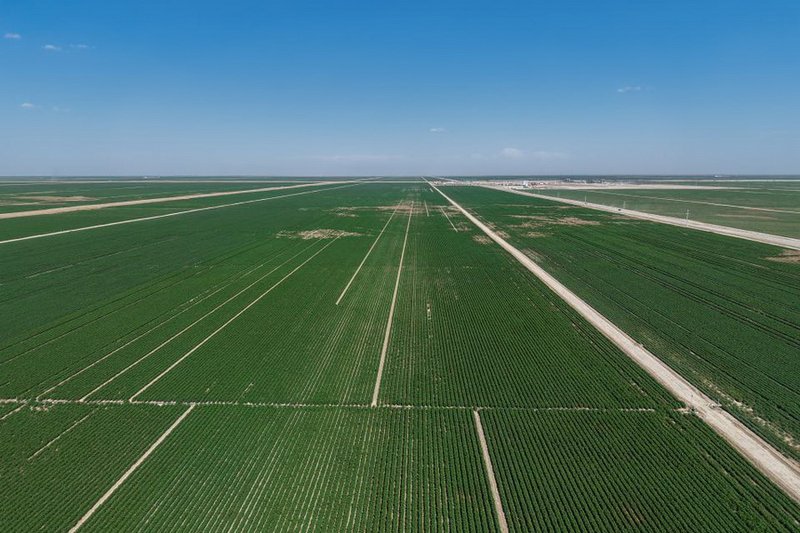 Систему капельного орошения на 32 тыс. га установили в Туркестанской области