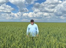 Падение цен на пшеницу до 80 тыс. тенге за тонну не исключают в Казахстане
