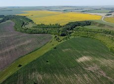 В Казахстане планируют развивать аграрный туризм