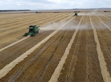 Минсельхоз разрабатывает единую платформу Е-АПК