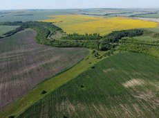 Ауыл шаруашылығы министрлігі алқаптардың электрондық карталары бойынша талапты екі жылға кейінге қалдырды